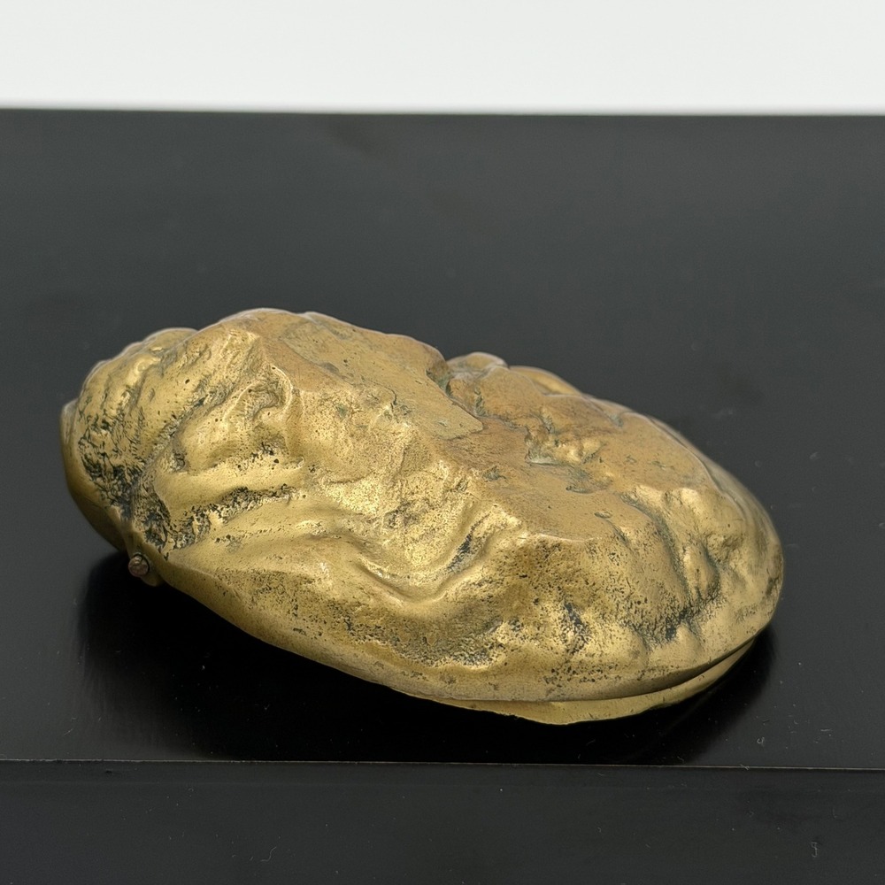 Vintage Brass Oyster Shell Hinged Trinket Box Coastal Nautical Clam Seashell